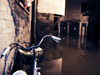 noe_018