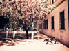 noe_019