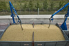 cerealdocks_027