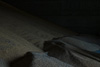 cerealdocks_031