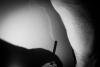 bdsm_006